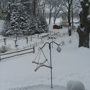 Meet your Posher, Dan